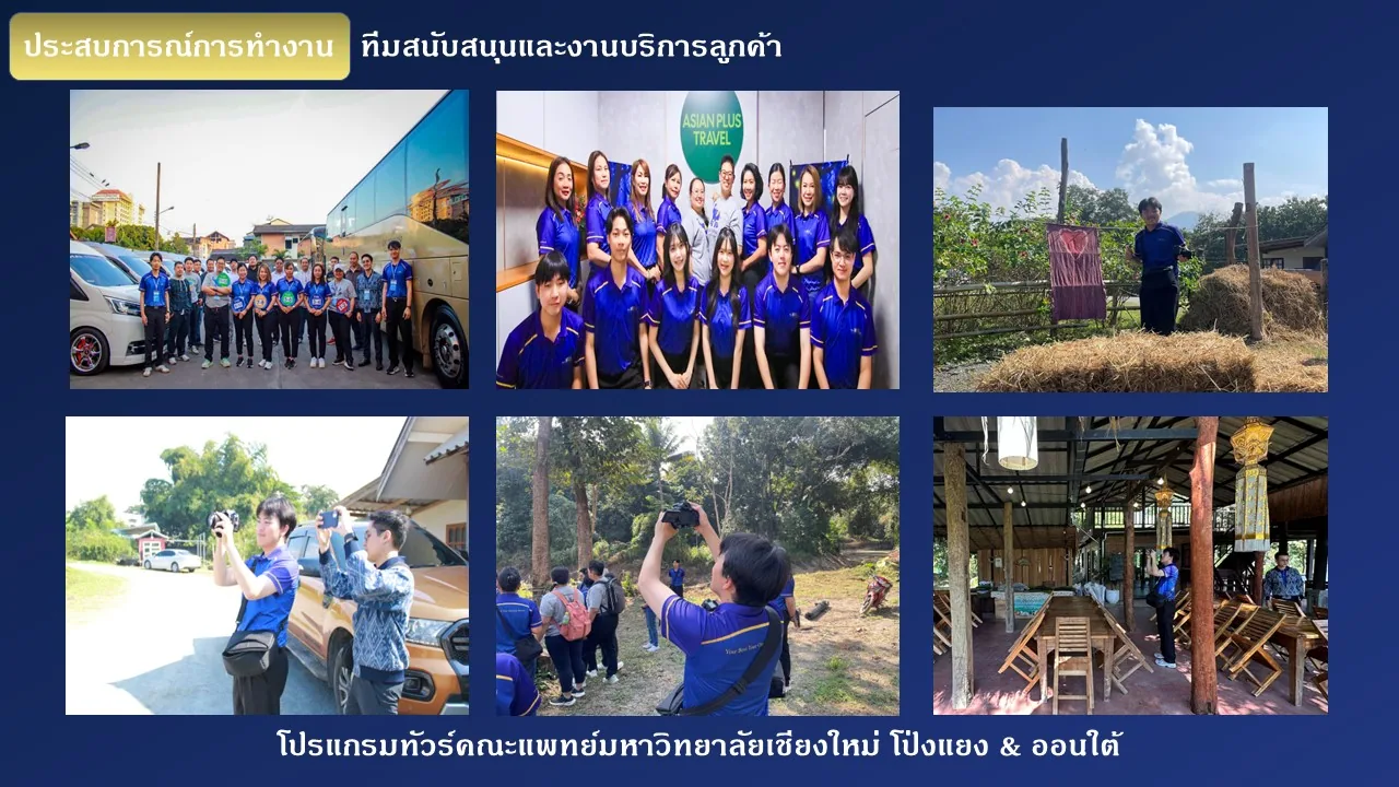 ทำงานกับธุรกิจจริง — Asian Plus Travel Internship