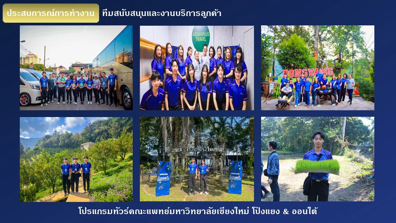 ทำงานกับธุรกิจจริง — Asian Plus Travel Internship